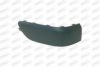 PRASCO FT9221243 Trim/Protective Strip, bumper